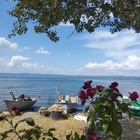Casa Jose Otel Marta Dış mekan fotoğraf